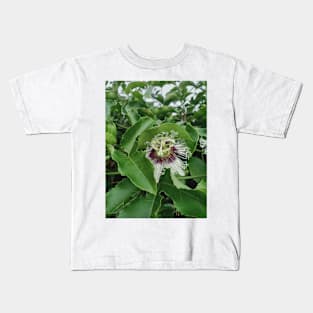 passion fruit flower, green leaves, plant photograph Kids T-Shirt